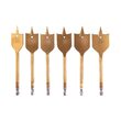 Set burghie plate pentru lemn 6-38mm, 16 piese, Silver