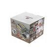 Masina de facut paste si taietei de casa, manuala, 2 / 6 mm, KingHoff