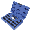Set 22 chei tubulare pentru suruburi antifurt de siguranta, compatibile cu BMW, Asta