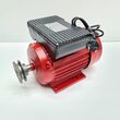 Motor Electric 3 Kw 220V 3000 rot min monofazat 4 Cp Micul Fermier