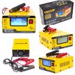 Redresor cu Microprocesor Powermat 50B Baterie 6V 12V