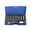 Trusa biti pentru suruburi deteriorate, imbusuri canelate, torx, 1/4" 1/2" H1.5-H10, 12 piese, Satra