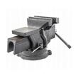 Menghina de banc rotativa turnata din fonta, cu nicovala, 125 mm 5 inchi, Verke