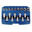 Trusa tubulare tip E si Torx, 1/2",19 piese, Silver