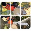 Saboti ambreiaj drujba china 4500, 5200, 5800, compatibil Micul Padurar, Ruris, Alpin, Blade, Campion, Almaz, PowerX