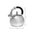 Ceainic argintiu din inox, fierbator traditional, capacitate 3 litri, Kinghoff