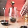 Infuzor din sticla, transparent, pentru cafea, ceai si lapte, 350ml, Klausberg