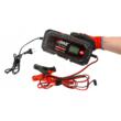 Redresor cu microprocesor,  6V/12V Z10.0A, Verke