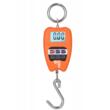 Cantar electronic, capacitate 0,5-200 kg precizie 100 g, Verke