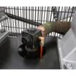 Compresor 150 litri, 2 pistoane pe ulei, motor electric 5.5 Cp, trifazic, 400 V, 600 L/min, presiune 8 bari, profesional, Verke