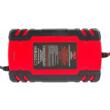 Redresor auto cu microprocesor, 12/24V 8A, incarcare in 10 etape, Red Technic