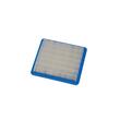 Filtru aer Briggs and Stratton Quantum 5cp, 5.5cp, 6cp 399959, 491588, PowerX