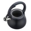 Ceainic, fierbator cu fluier, otel inoxidabil, negru cu elemente argintii, 2,8 l, Klausberg