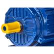  Motor electric, 0.75 Kw, trifazat 380 V, 2730 rpm, Kraft