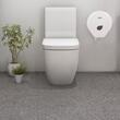 Dispenser pentru hartie igienica, rola mare, alb, Sepio