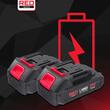 Fierastrau electric cu lant pentru taiat ramuri, cu acumulatori, 21V, 2Ah, Red Technic