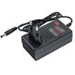 Foarfeca electrica pe acumulator pentru tuns iarba, arbusti, 21 V, Red Technic