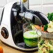 Storcator pentru fructe si legume, orizontal cu maner, putere 150 W, alb, Klausberg