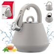 Fierbator gri mat, ceainic din otel cu fluier, 2.5 L, Klausberg
