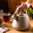 Fierbator bej, ceainic din otel cu fluier, 2.5 L, Klausberg