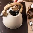 Fierbator traditional, ceainic din otel, capacitate 2,5 litri, cu maner din imitatie de lemn, bej, Klausberg