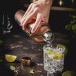 Shaker barman, pentru bauturi si cocktail-uri, 750 ml, rose, Klausberg