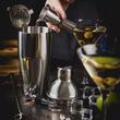 Set barman pentru bauturi, cocktailuri, shaker, 12 elemente, argintiu, Klausberg