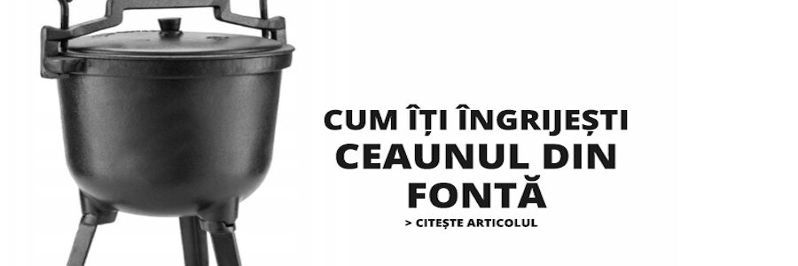 CUM ÎȚI ÎNGRIJEȘTI CEAUNUL DIN FONTĂ - GHID COMPLET