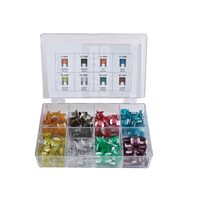Set sigurante auto, micro, 200 piese, Asta