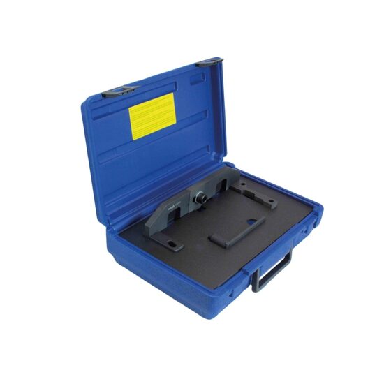 Trusa scule de sincronizare, blocare distributie, compatibil cu Citroen, Peugeot, Asta
