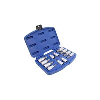 Trusa biti, imbus, hexagonale, 1/2 inch H5 - H22, 12 piese, Asta
