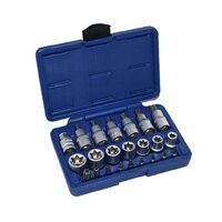 Trusa biti si chei tubulare torx si tip E, 1/2", 23 piese, Asta