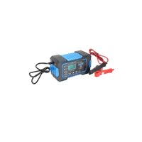 Redresor cu microprocesor, 6-12 V, incarcator pentru baterii AGM/GEL/SLA/EFB, Satra