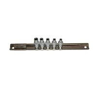Set chei tubulare, E4-E8, 1/4", 5 piese, Asta